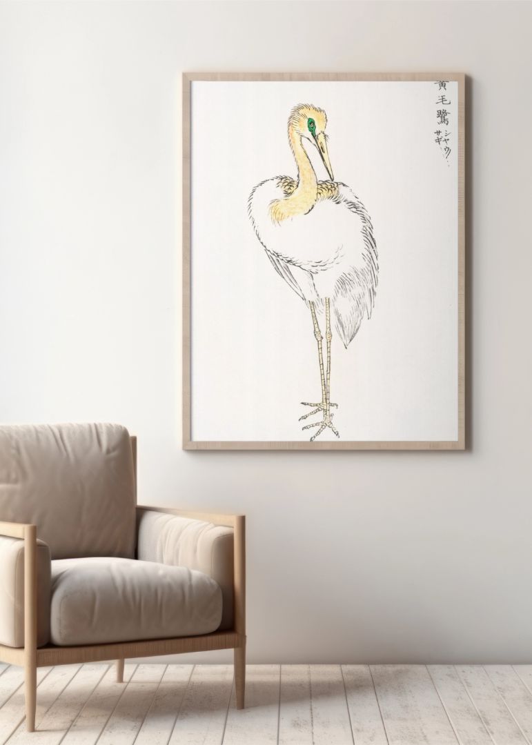 Eastern Great White Egret