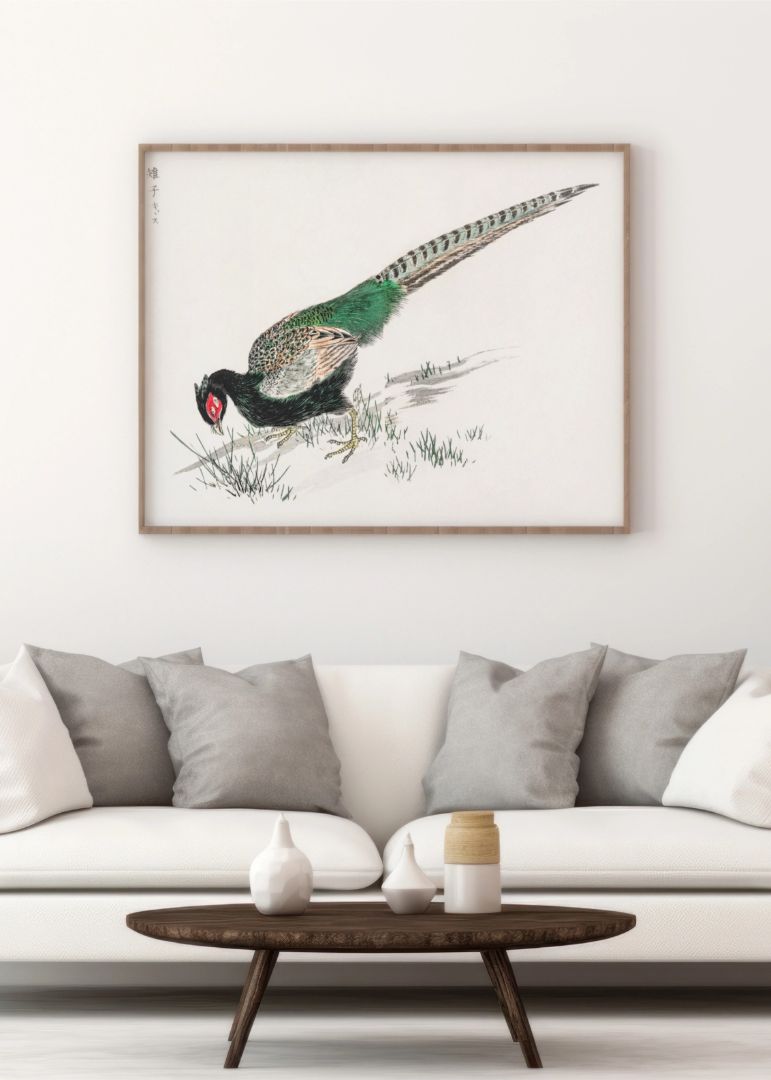 Green Pheasant