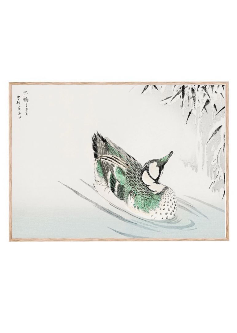 Spectacled Teal and Snow-bent Bamboo