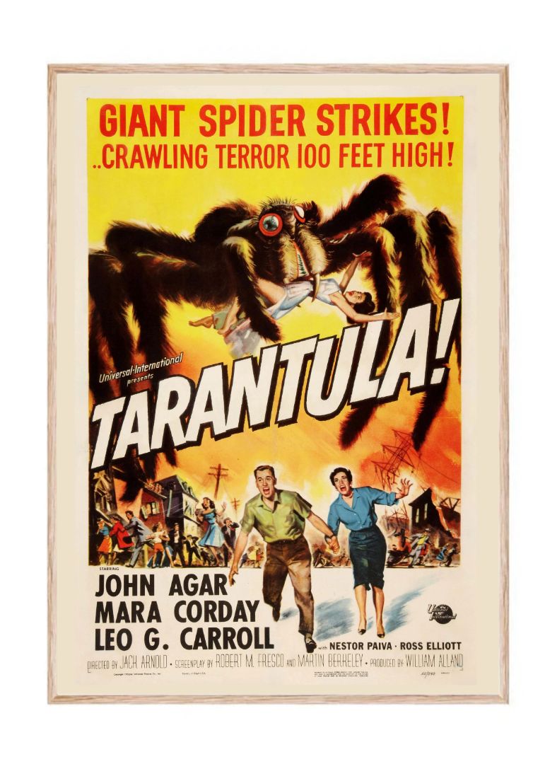 Tarantula