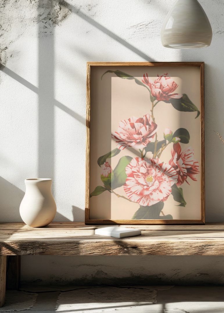 Beautiful Prints of Striped Camellias