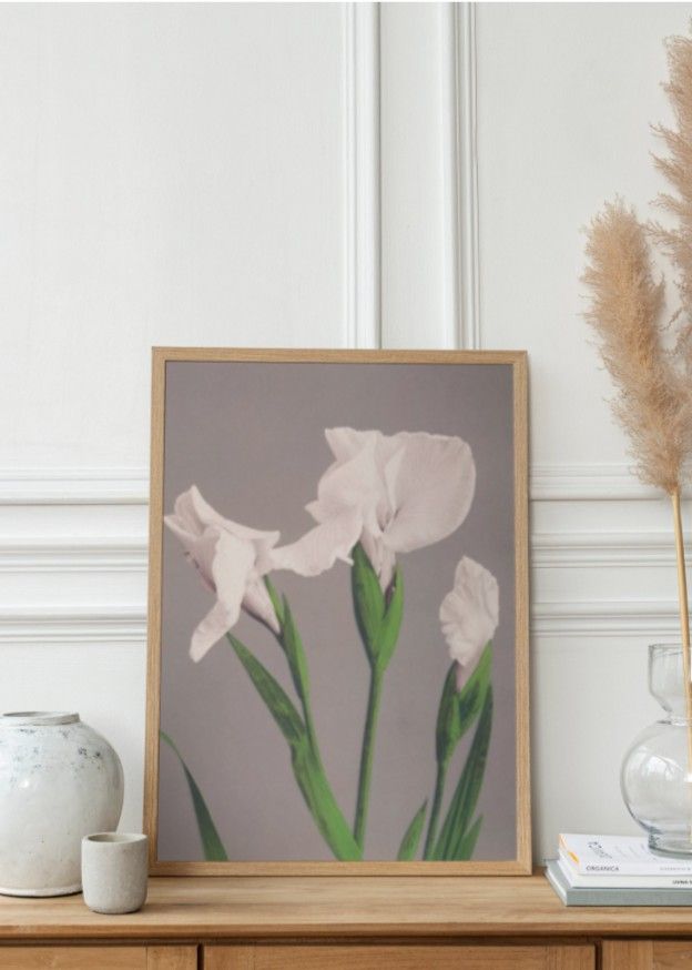 Beautiful Prints of White Irises