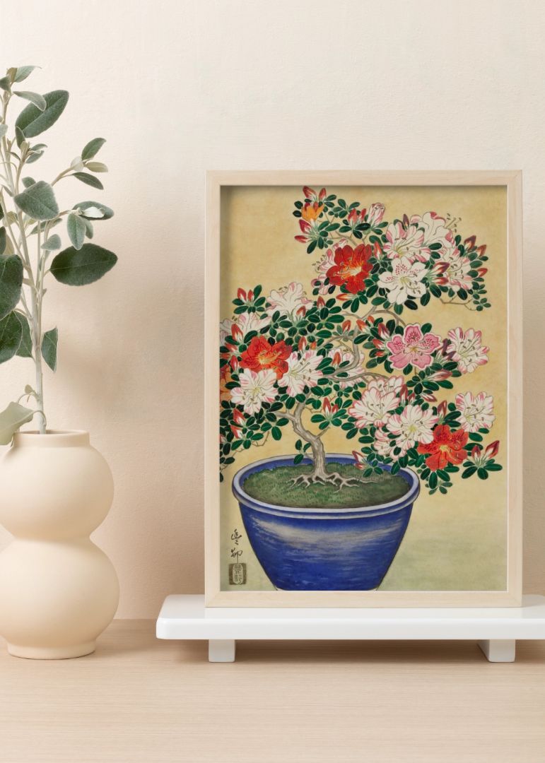 Blooming Azalea in Blue Pot