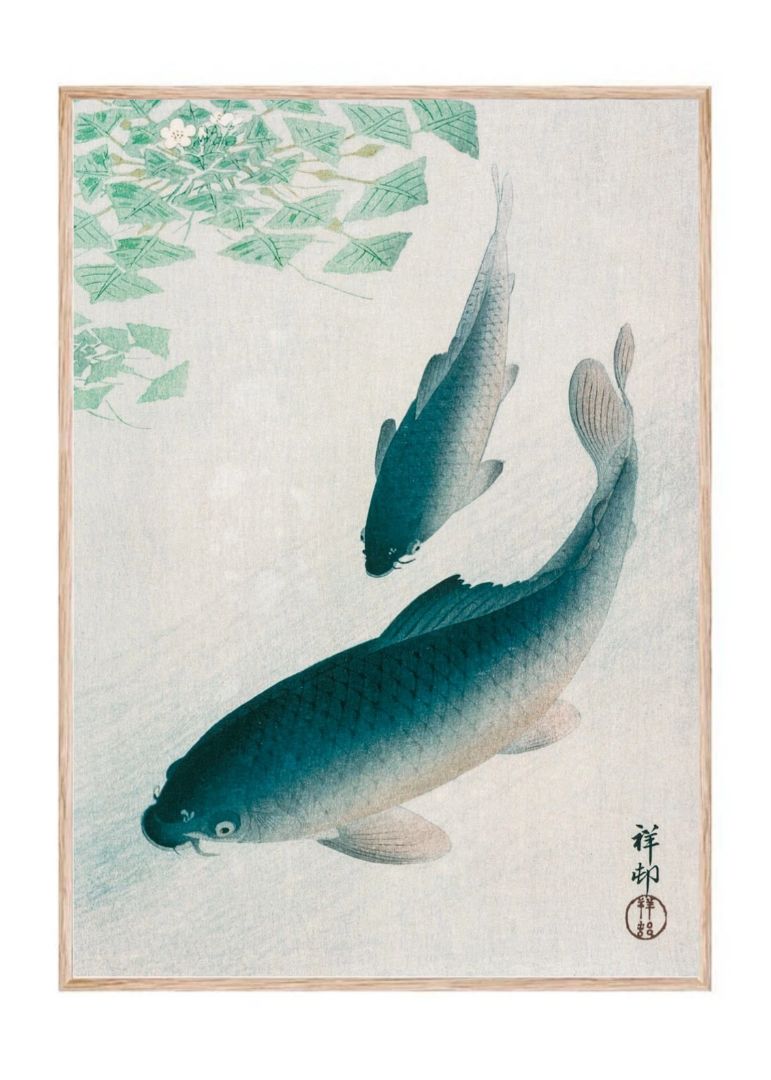 Carp or Koi