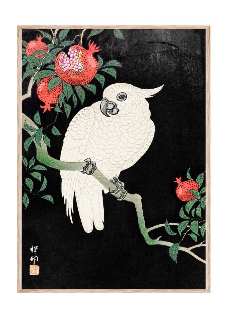 Cockatoo and Pomegranate by Ohara Koson