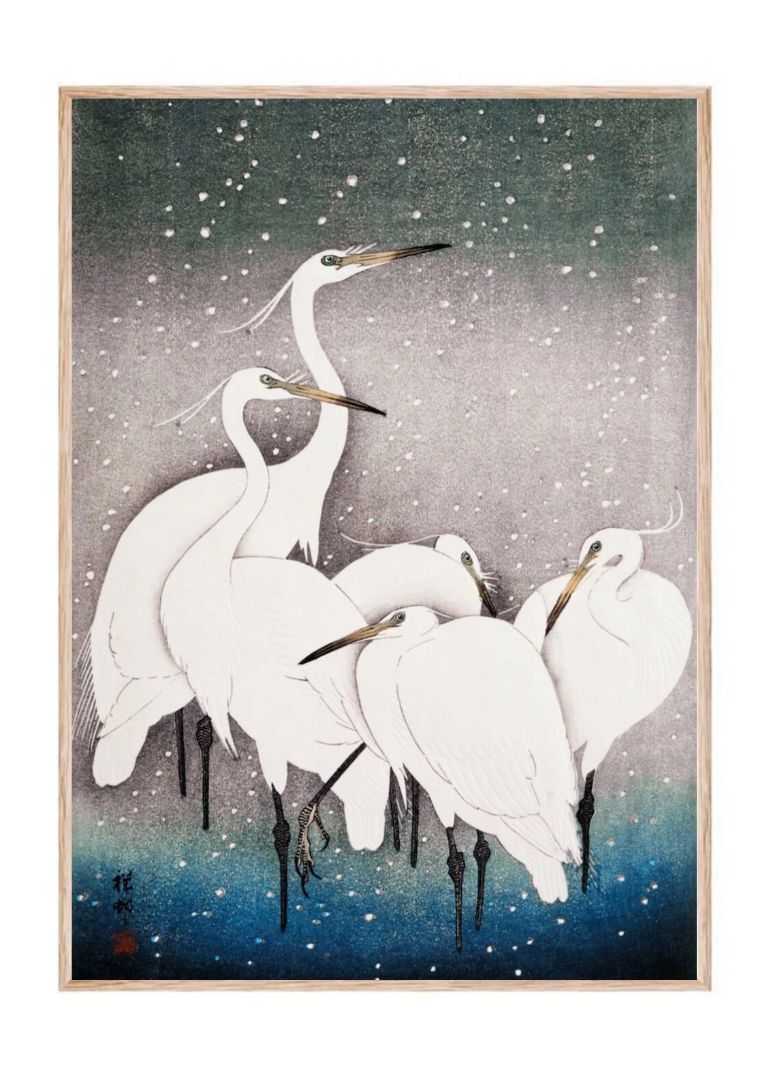 Group of Egrets