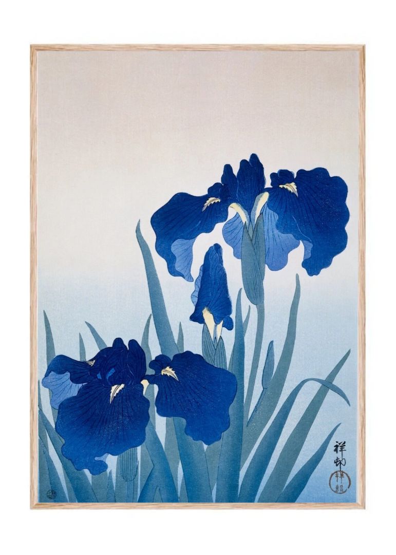 Iris flowers