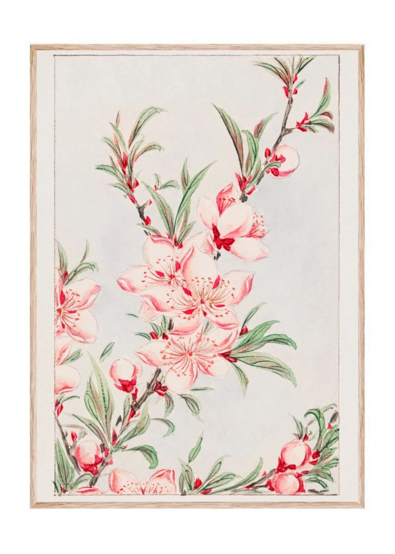 Peach Tree Branches with Leaves and Blossoms