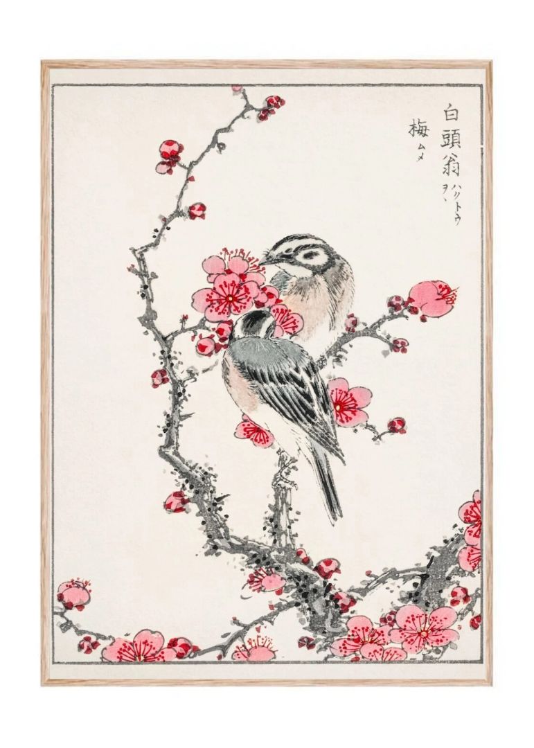 Pine Bunting and Plum Tree Illustration