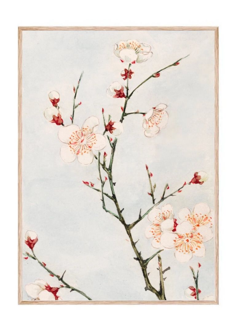 Plum Branches with Blossoms