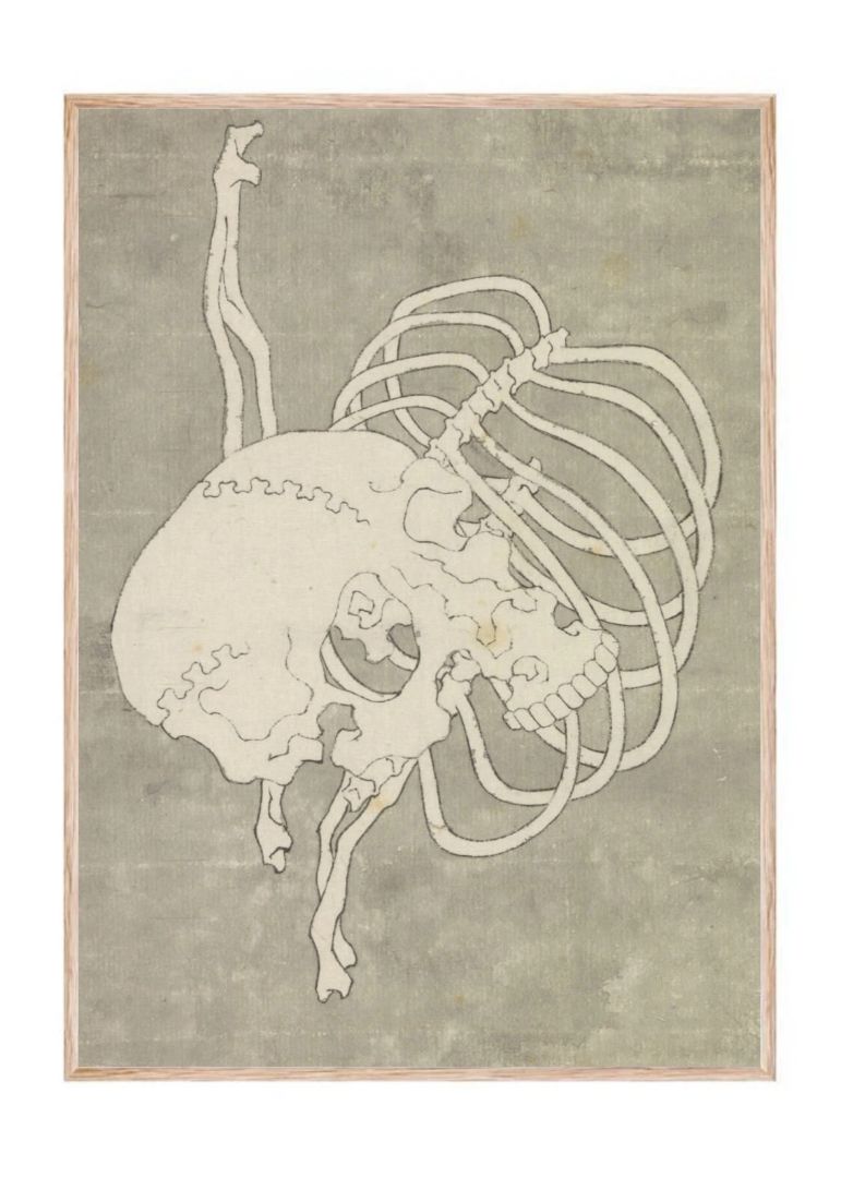 Hokusai's Skull Rib Cage