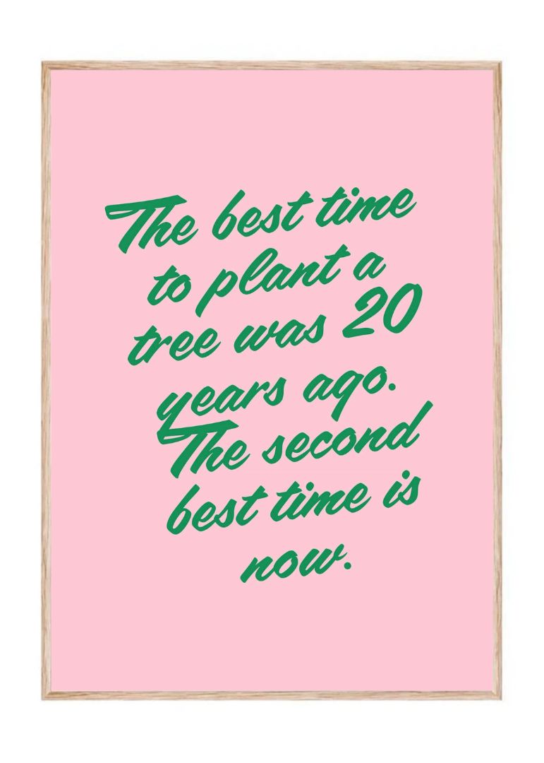 The best time to plant a tree was 20 years ago. The second best time is now.