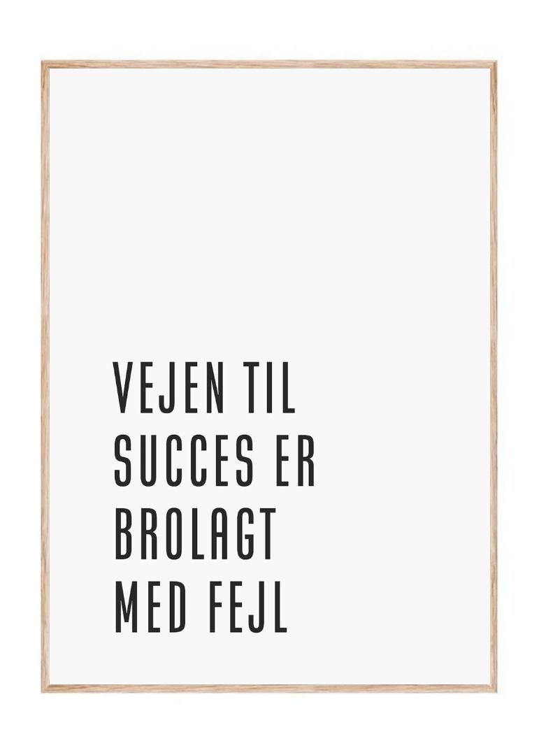 Vejen til succes er brolagt med fejl