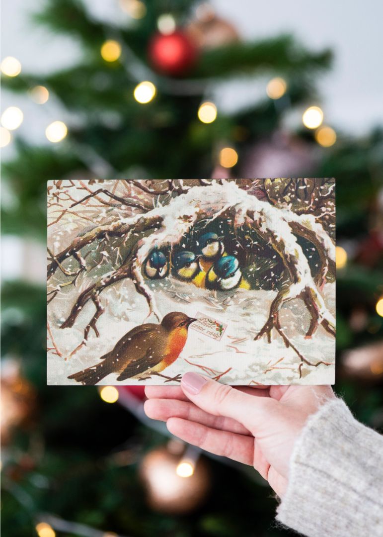 vintage christmas postcard depicting birds in snow