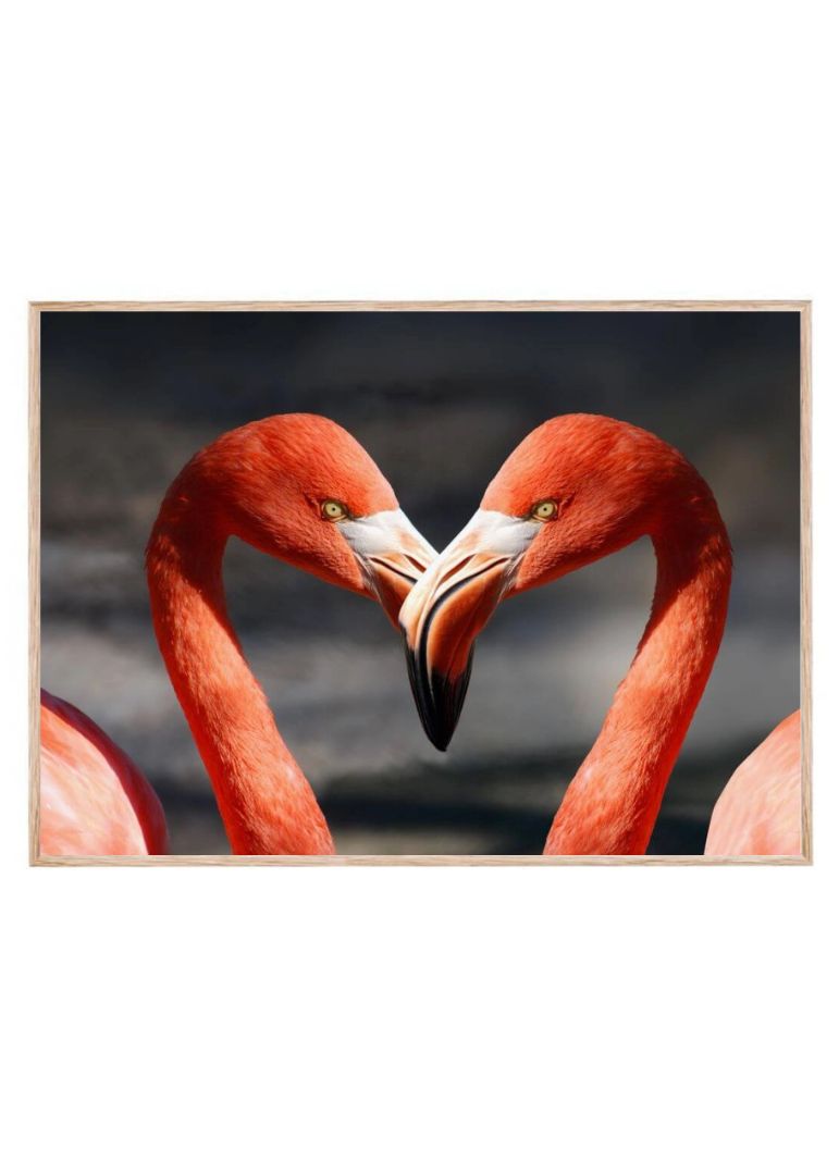 Heart of Two Pink Flamingos