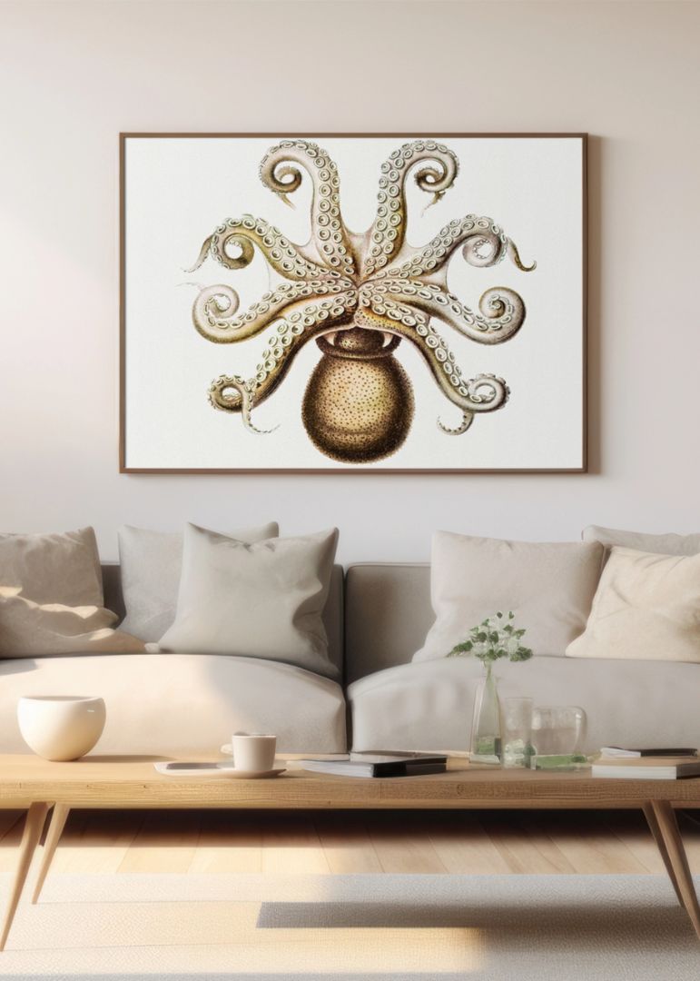 Vintage octopus marine life I