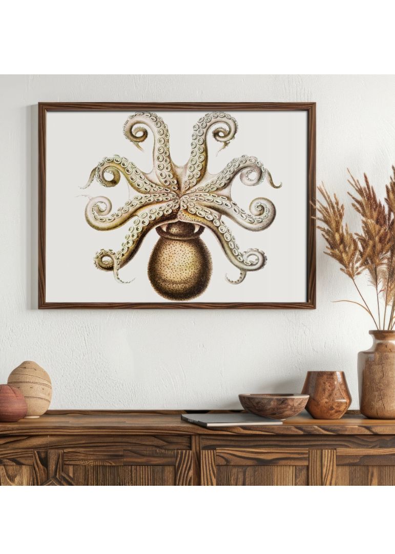 Vintage octopus marine life I