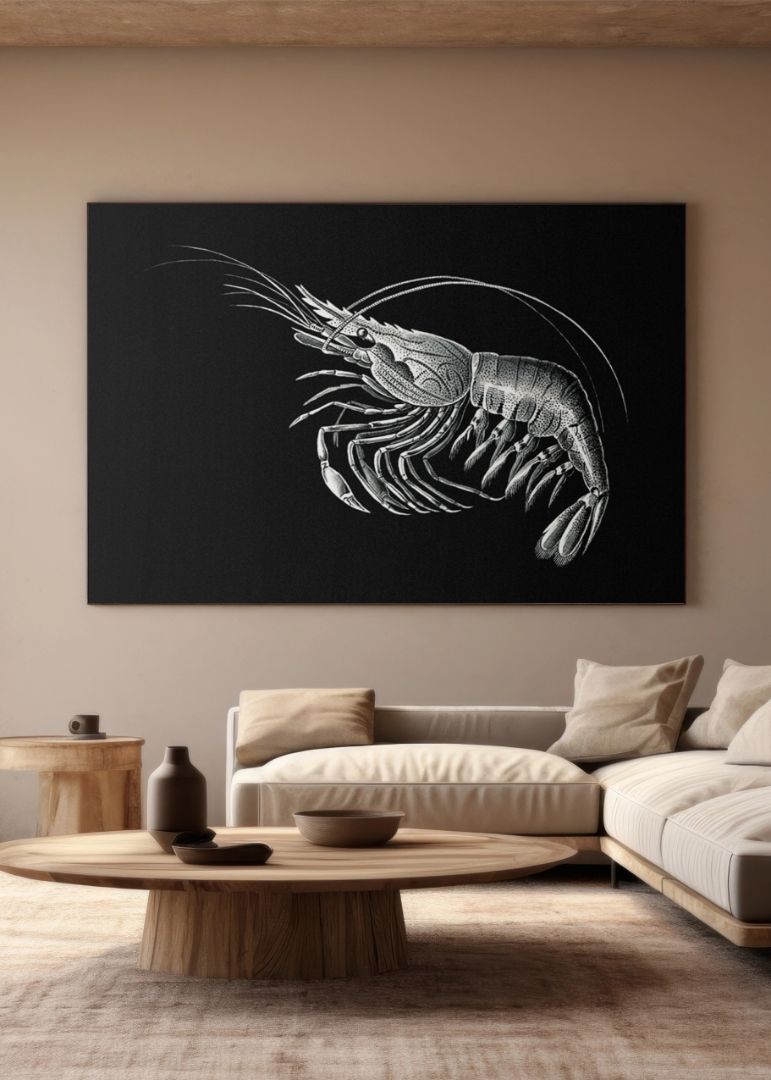 Vintage prawn marine life I