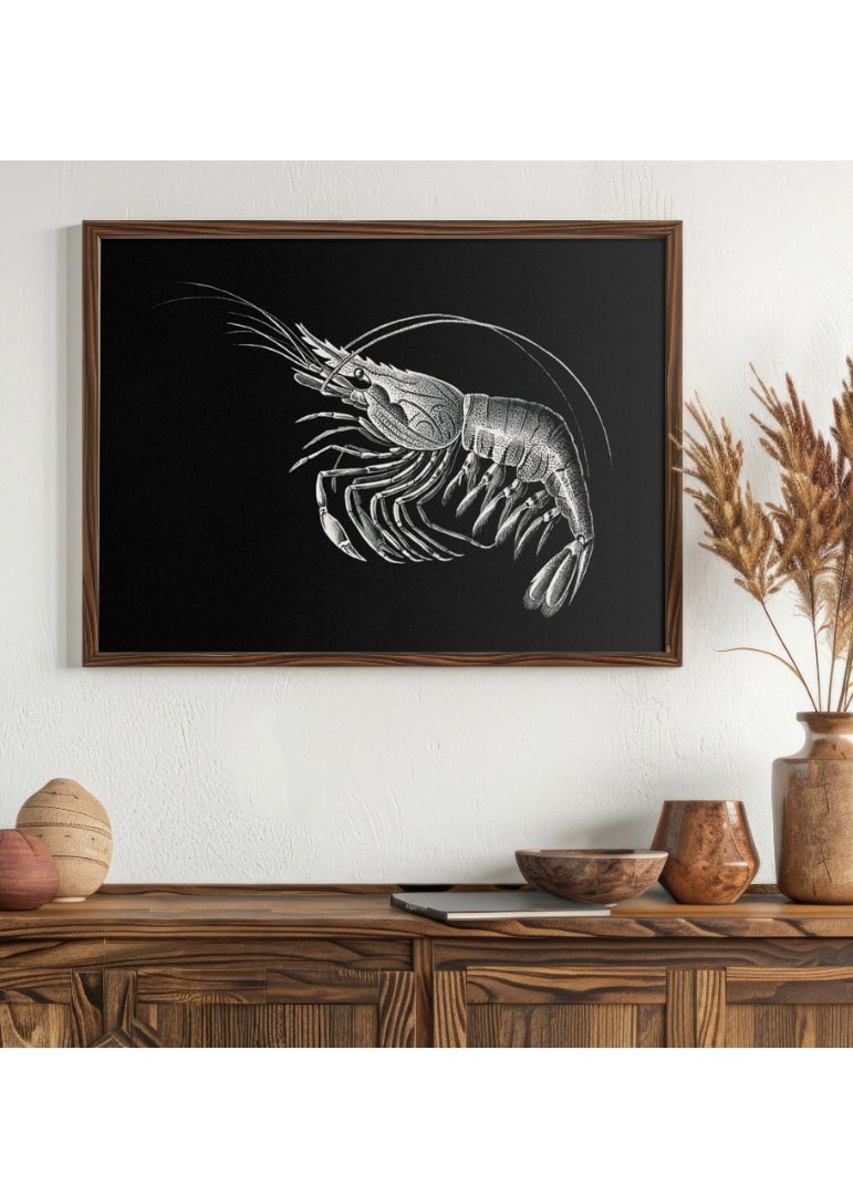 Vintage prawn marine life I