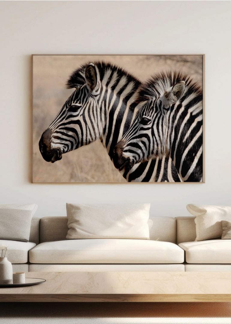 Zebra Elegance Billedvæg