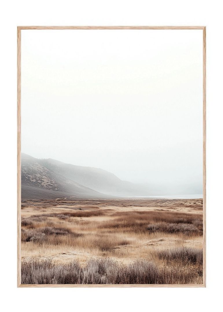 Dry wilderness