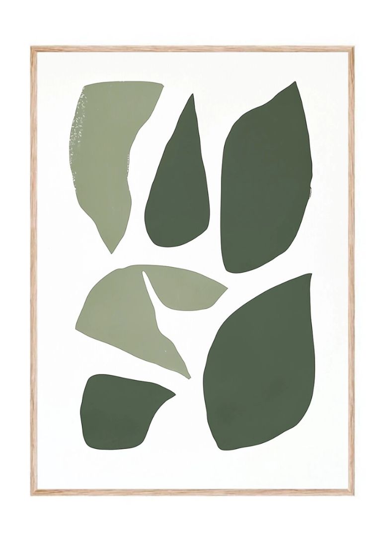 Shade & Shape