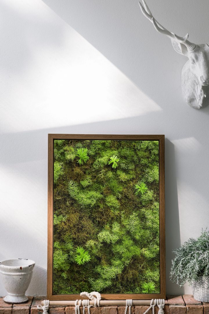 Flat Moss