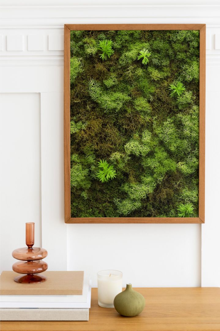 Flat Moss