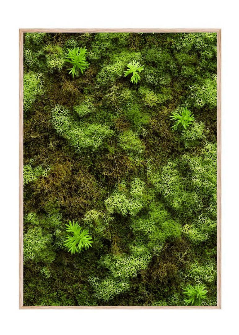 Flat Moss