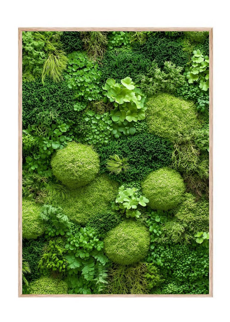 Greenery Nature