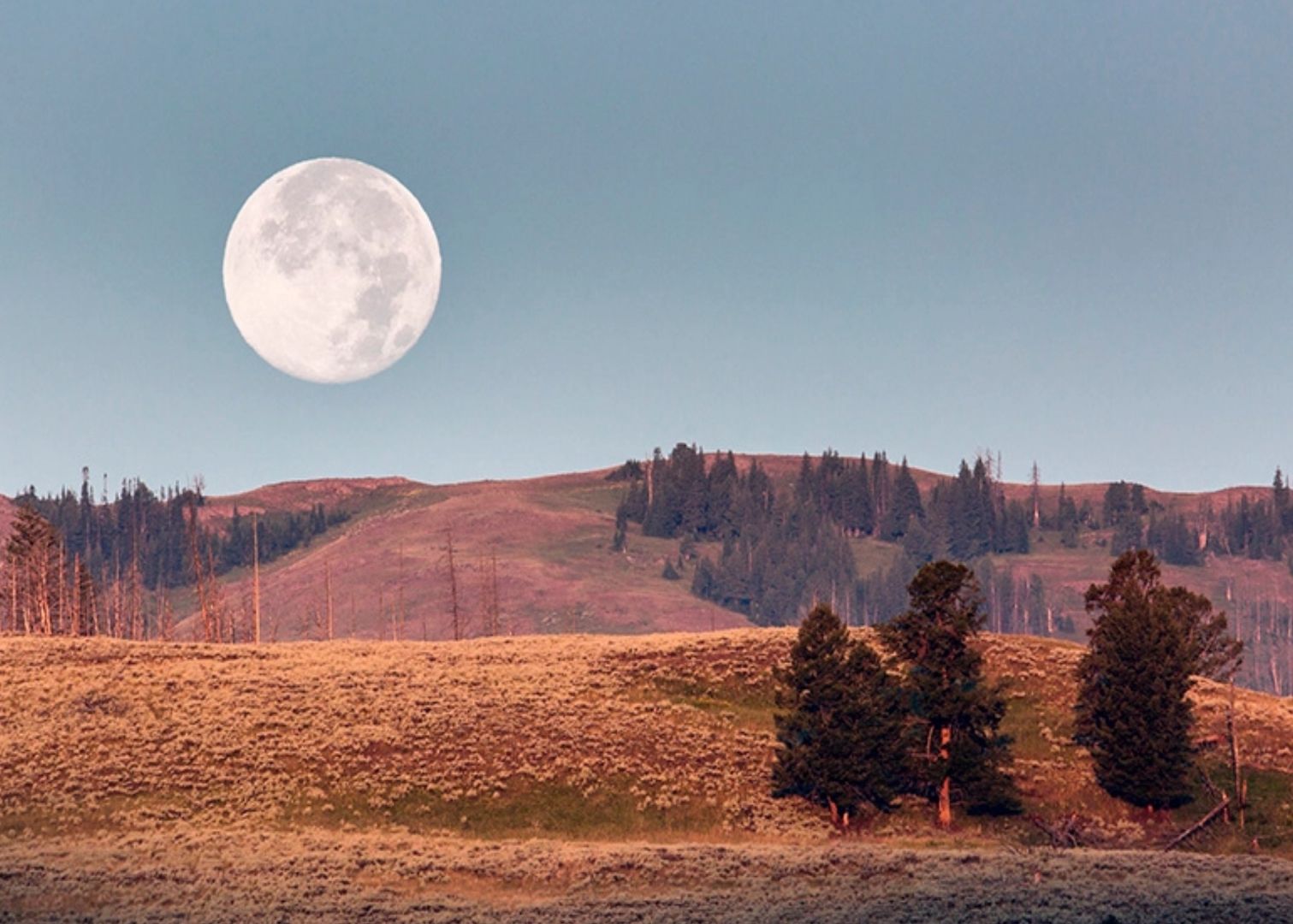 Moonset in the Valley