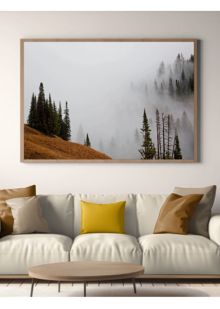Foggy Mountain