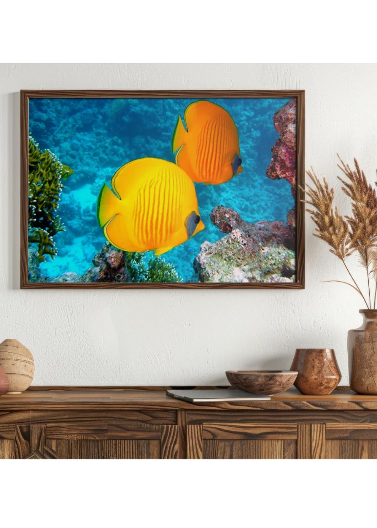 Summer Time Fish