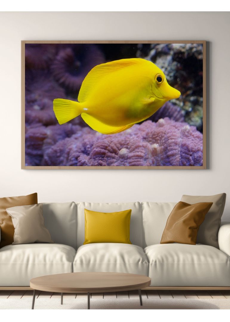 Sunshine Under the Sea