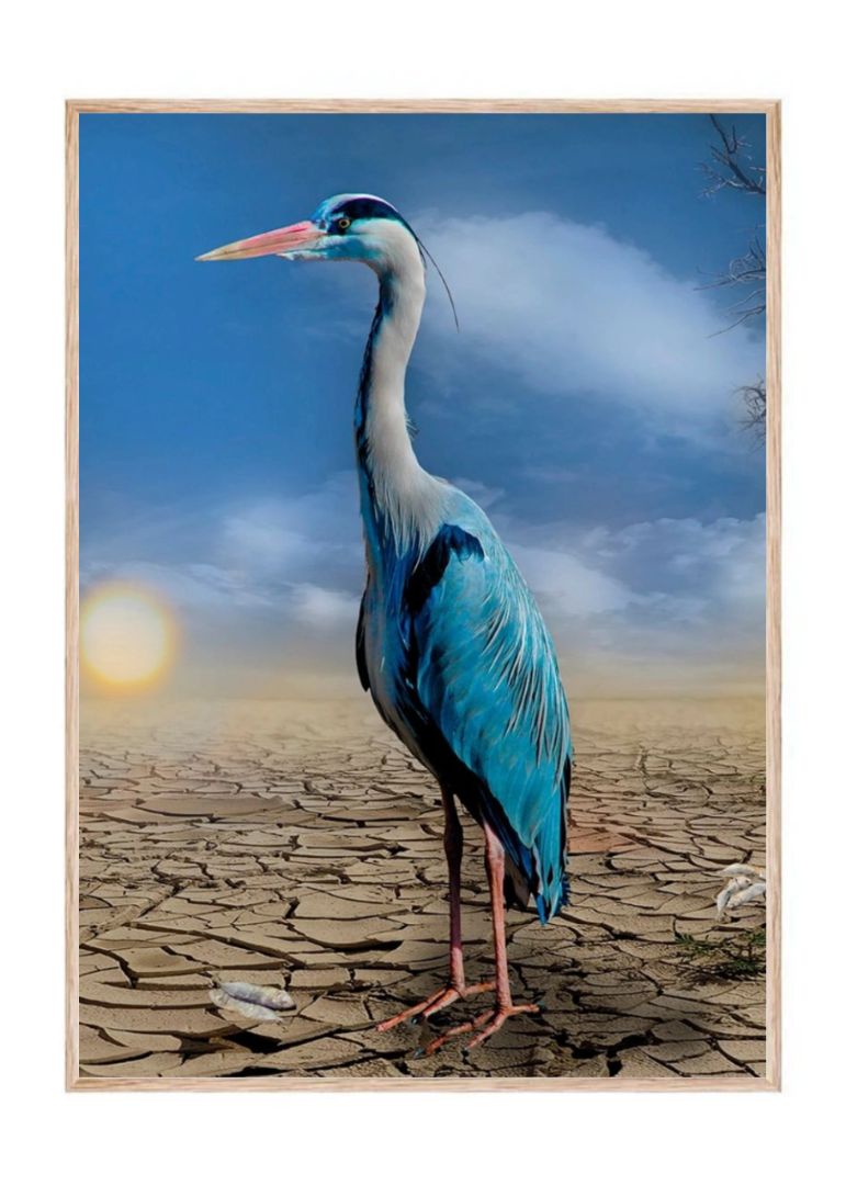 Great Blue Heron