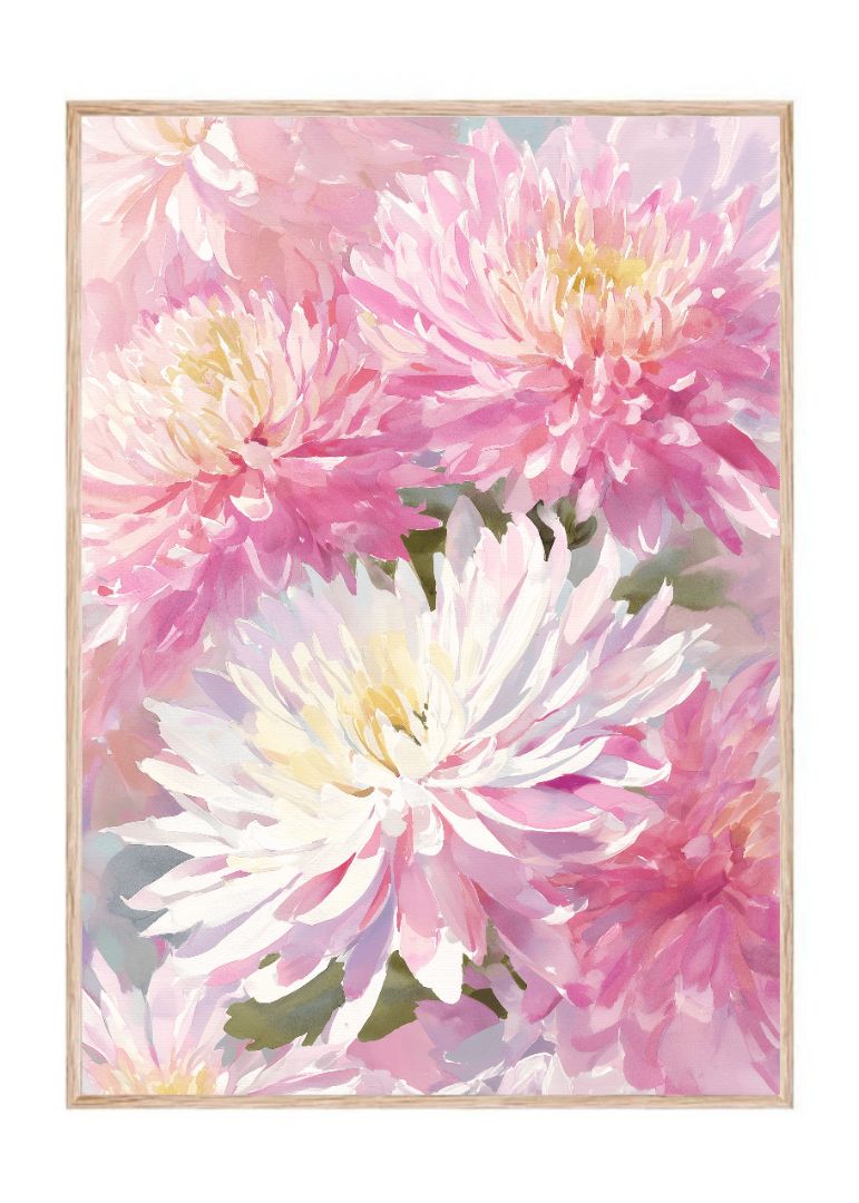 Chrysanthemum flowers