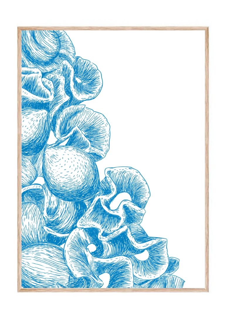 Floral Border