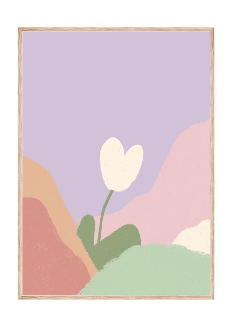 White Pastel Tulip