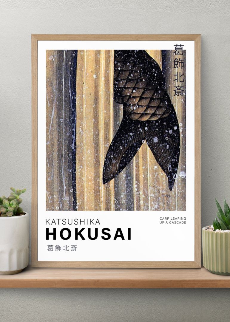 Carp leading up a cascade