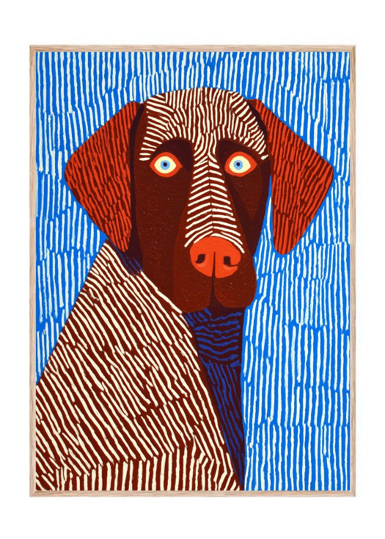 Den stribede labrador