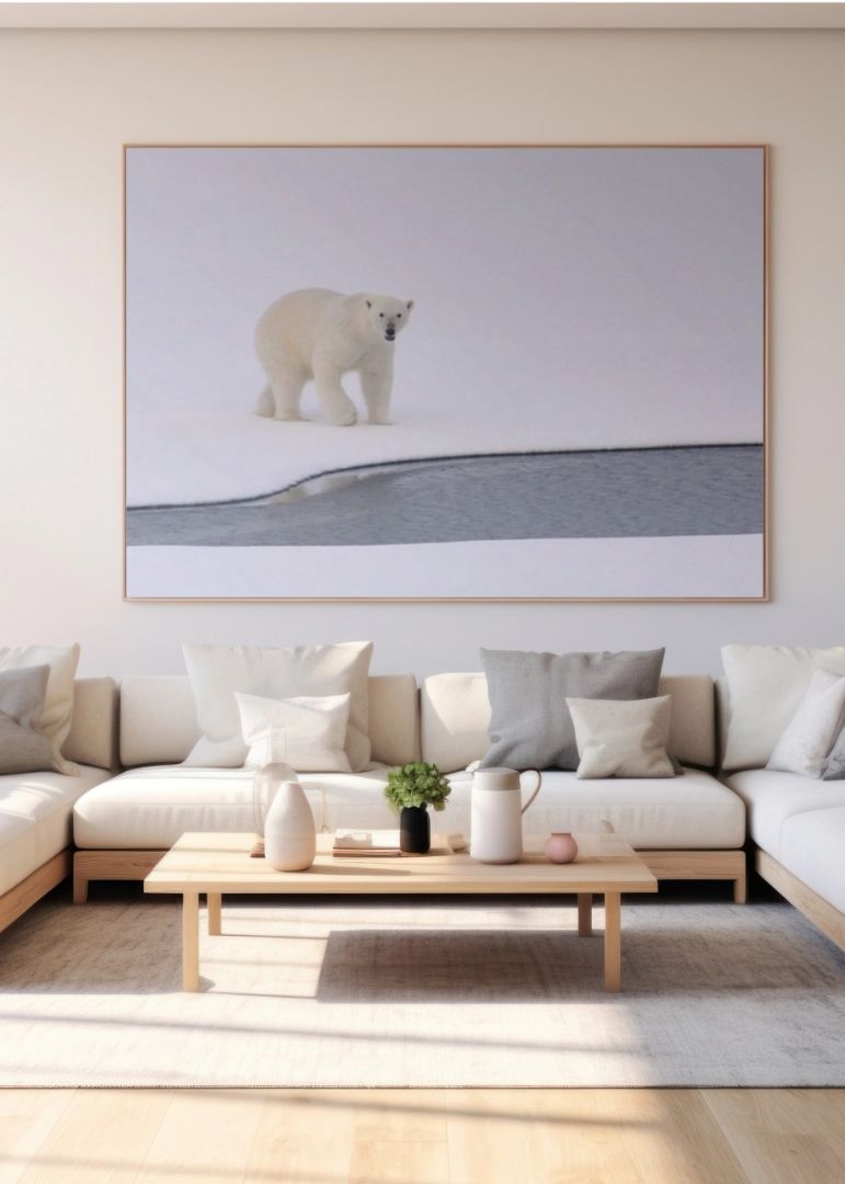 Isbjørn på Grønland