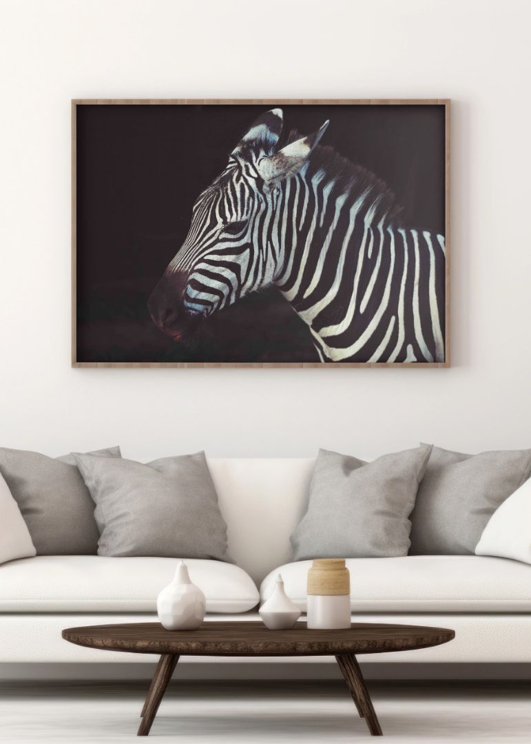 The Lone Zebra