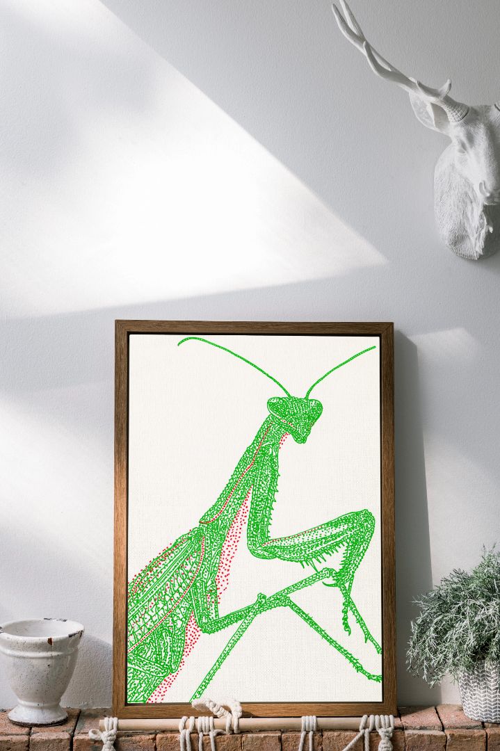 The Grasshopper