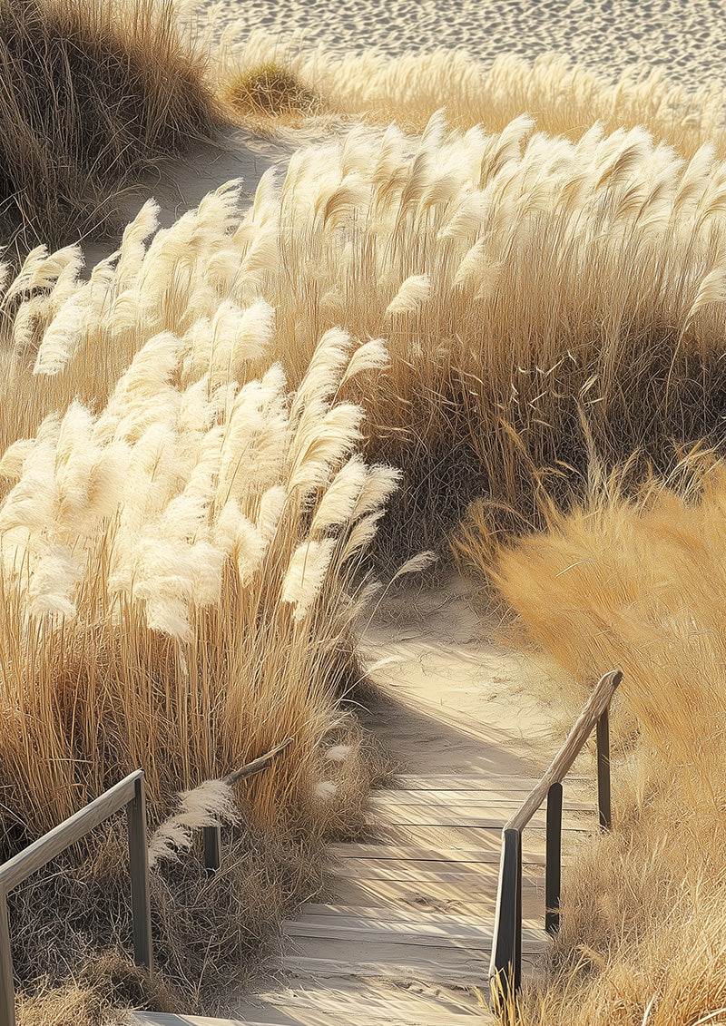 Desiccated Pampas Grass