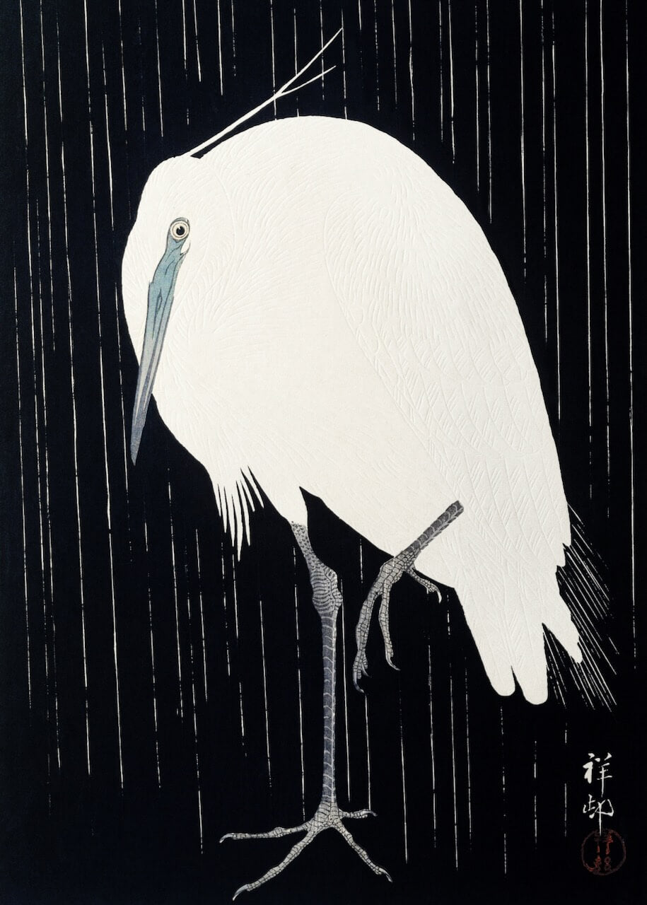 Egret in the Rain