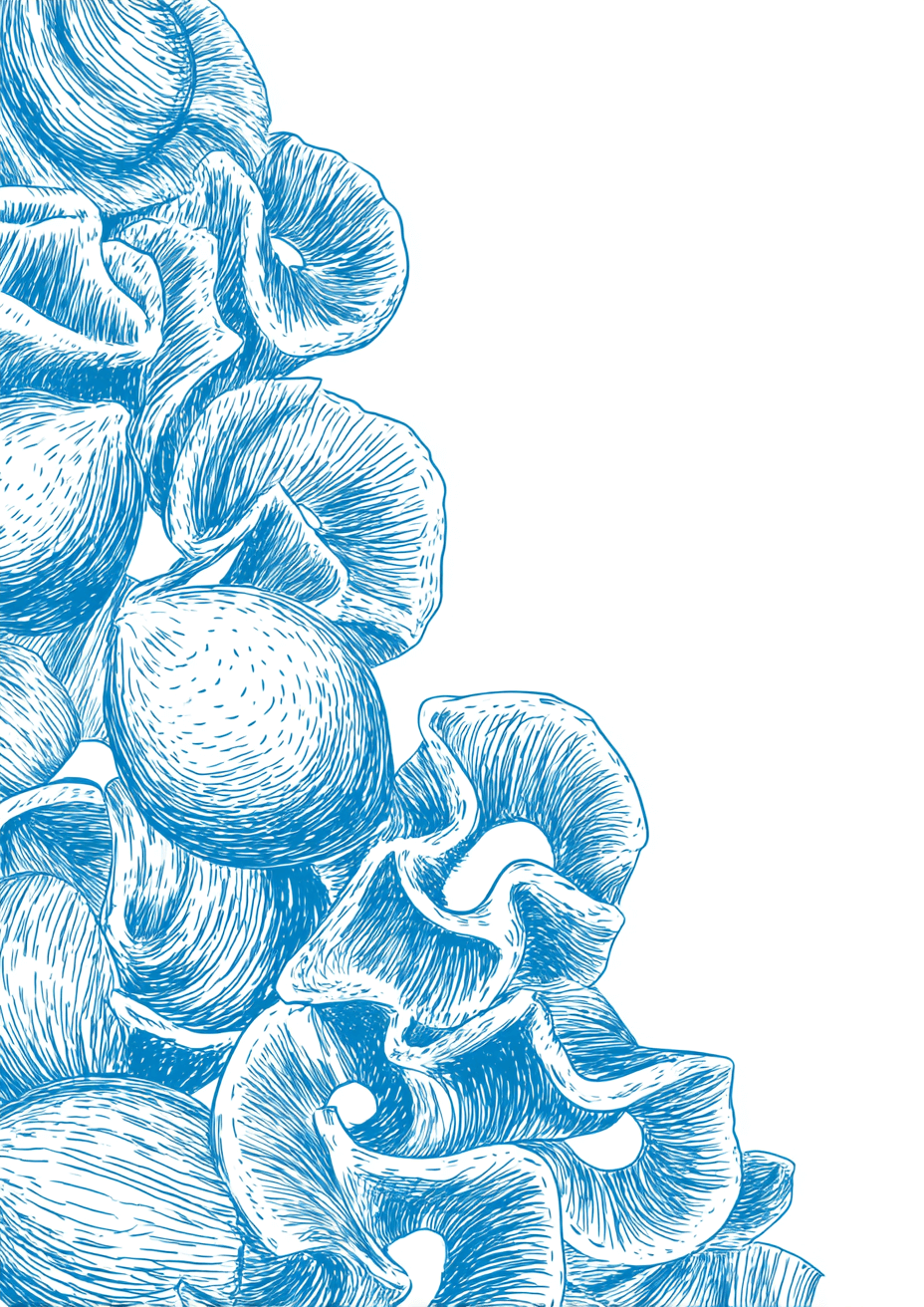 Floral Border by Posters har blå, håndtegnede muslingeskaller, der er samlet langs venstre kant på en hvid baggrund og danner et elegant vægkunstmønster med flydende linjer og generøs tom plads til højre.