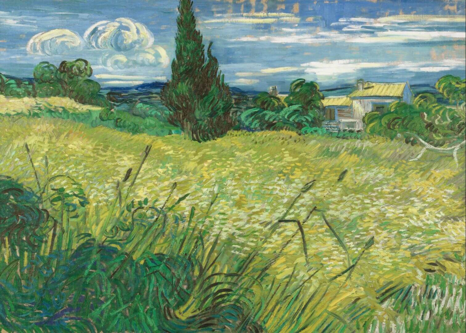 Green Wheat Field with Cypress (1889)