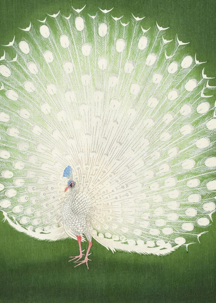 Natur & Bølge Billedvæg