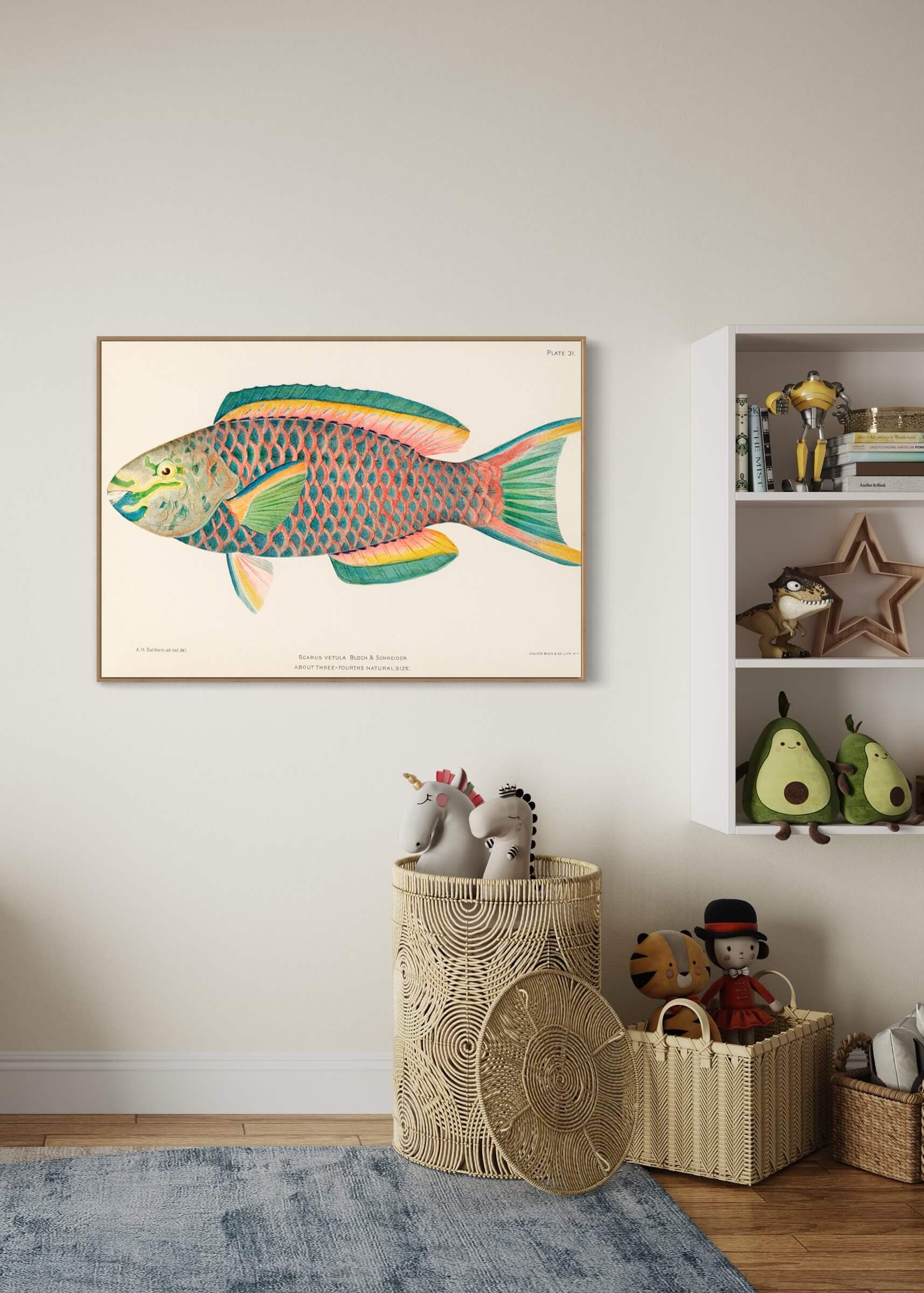 Queen Parrot fish