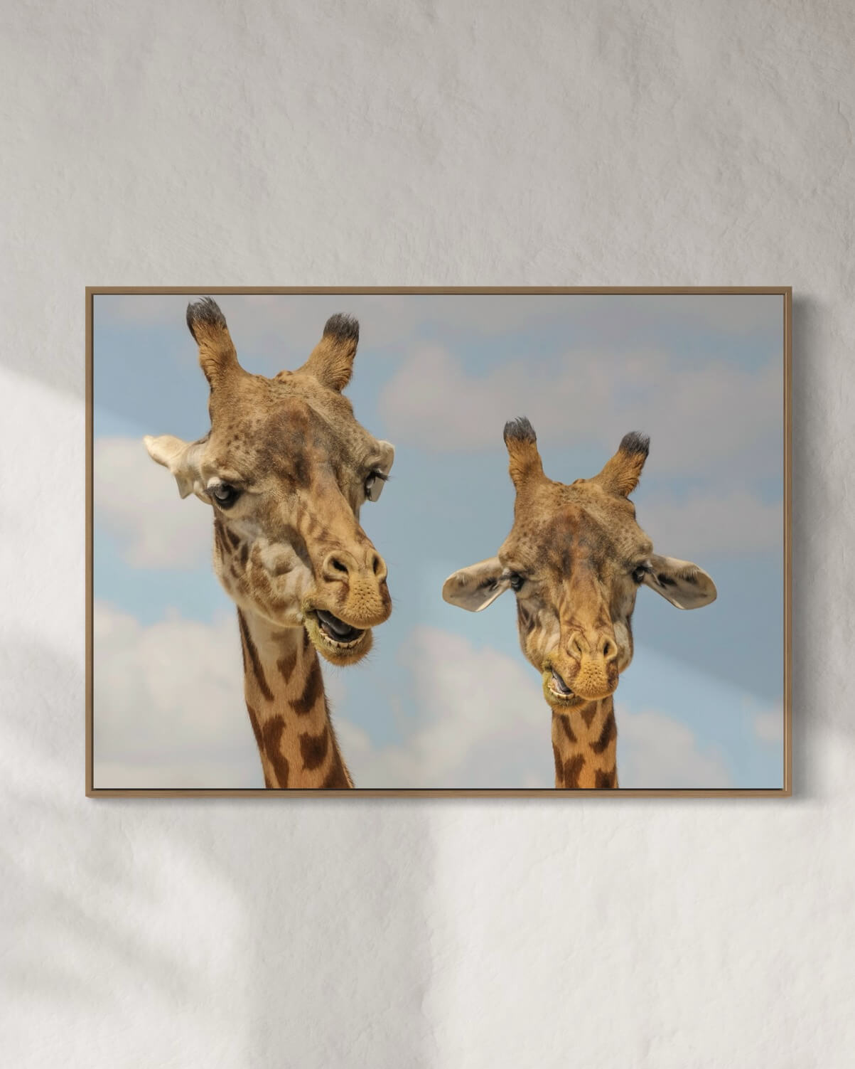 Girafmakkere